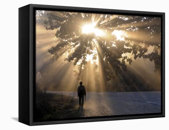 Man Walking Along a Street with Sun Rays Shining Through a Tree, Highlands, Myanmar-Michael Runkel-Framed Premier Image Canvas