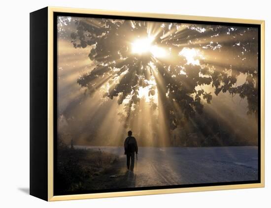 Man Walking Along a Street with Sun Rays Shining Through a Tree, Highlands, Myanmar-Michael Runkel-Framed Premier Image Canvas