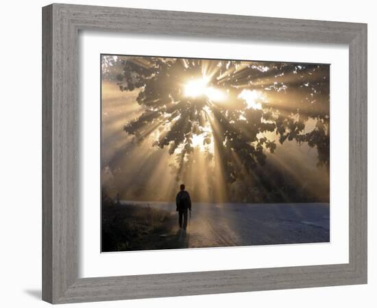 Man Walking Along a Street with Sun Rays Shining Through a Tree, Highlands, Myanmar-Michael Runkel-Framed Photographic Print