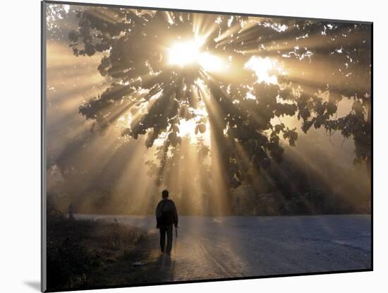 Man Walking Along a Street with Sun Rays Shining Through a Tree, Highlands, Myanmar-Michael Runkel-Mounted Photographic Print