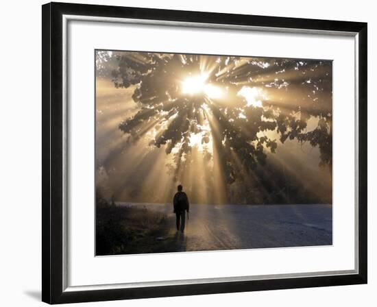 Man Walking Along a Street with Sun Rays Shining Through a Tree, Highlands, Myanmar-Michael Runkel-Framed Photographic Print