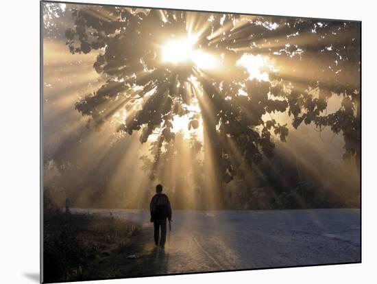 Man Walking Along a Street with Sun Rays Shining Through a Tree, Highlands, Myanmar-Michael Runkel-Mounted Photographic Print