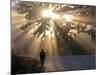 Man Walking Along a Street with Sun Rays Shining Through a Tree, Highlands, Myanmar-Michael Runkel-Mounted Photographic Print