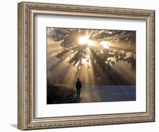 Man Walking Along a Street with Sun Rays Shining Through a Tree, Highlands, Myanmar-Michael Runkel-Framed Photographic Print