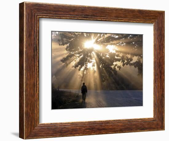 Man Walking Along a Street with Sun Rays Shining Through a Tree, Highlands, Myanmar-Michael Runkel-Framed Photographic Print