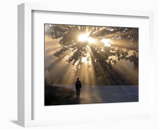 Man Walking Along a Street with Sun Rays Shining Through a Tree, Highlands, Myanmar-Michael Runkel-Framed Photographic Print