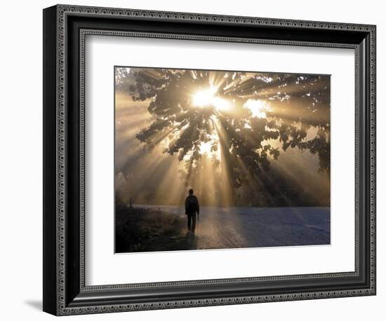 Man Walking Along a Street with Sun Rays Shining Through a Tree, Highlands, Myanmar-Michael Runkel-Framed Photographic Print