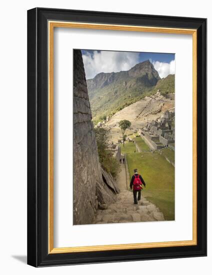 Man Walking Down Stone Steps of Machu Picchu, Peru-Merrill Images-Framed Photographic Print