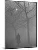 Man Walking Through Hyde Park in the Fog-Mark Kauffman-Mounted Photographic Print