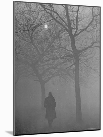 Man Walking Through Hyde Park in the Fog-Mark Kauffman-Mounted Photographic Print