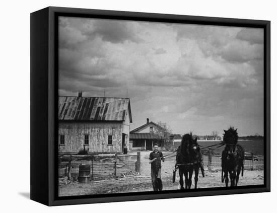 Man Walking Two Clydesdale Horses on the Ranch-William C^ Shrout-Framed Premier Image Canvas