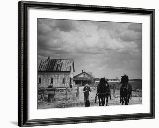 Man Walking Two Clydesdale Horses on the Ranch-William C^ Shrout-Framed Photographic Print