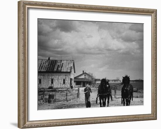 Man Walking Two Clydesdale Horses on the Ranch-William C^ Shrout-Framed Photographic Print