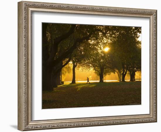 Man Walking Under Trees, Hagley Park, Christchurch, Canterbury, South Island, New Zealand, Pacific-Jochen Schlenker-Framed Photographic Print