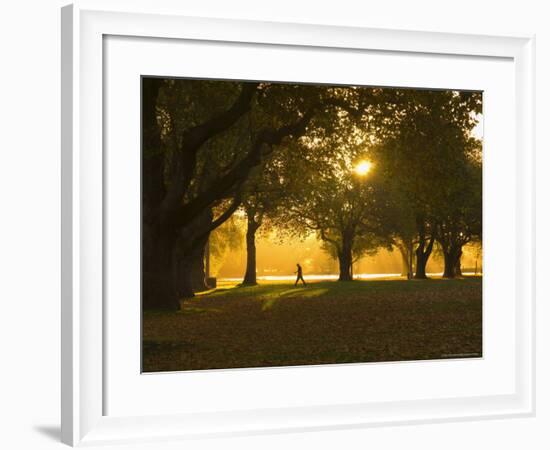 Man Walking Under Trees, Hagley Park, Christchurch, Canterbury, South Island, New Zealand, Pacific-Jochen Schlenker-Framed Photographic Print