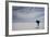 Man Walking With Blue Umbrella On The Bonneville Salt Flats-Lindsay Daniels-Framed Photographic Print