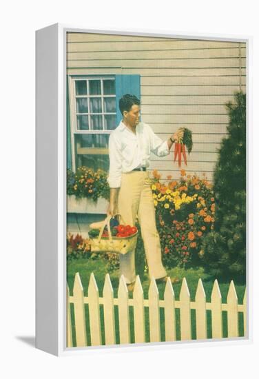 Man with Carrots in Yard-null-Framed Stretched Canvas