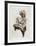 Man with Cigarette-Harry McCormick-Framed Limited Edition