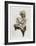 Man with Cigarette-Harry McCormick-Framed Limited Edition