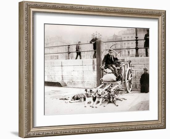 Man with Dogcart, Antwerp, 1898-James Batkin-Framed Photographic Print