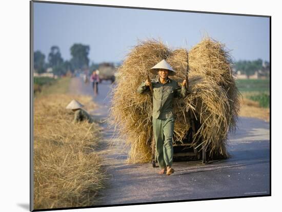 Man with Freshly Harvested Rice on Cart in the Ricefields of Bac Thai Province-Robert Francis-Mounted Photographic Print