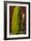 Man with Giant Watermelon-null-Framed Art Print