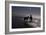 Man with Horses on the Beach-Nora Hernandez-Framed Photographic Print