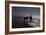 Man with Horses on the Beach-Nora Hernandez-Framed Photographic Print