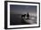 Man with Horses on the Beach-Nora Hernandez-Framed Photographic Print