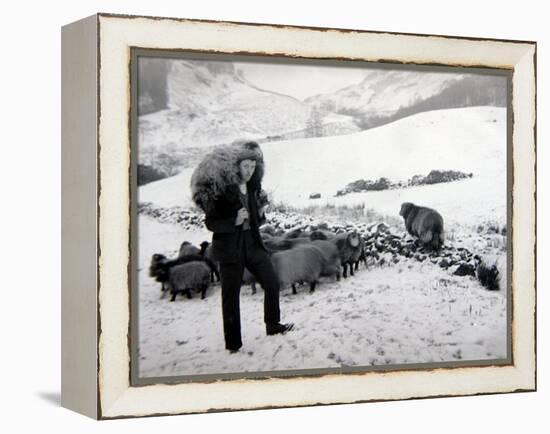 Man with Sheep on Snowy Hills, 1943-null-Framed Premier Image Canvas