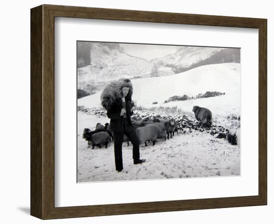 Man with Sheep on Snowy Hills, 1943-null-Framed Photographic Print