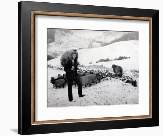 Man with Sheep on Snowy Hills, 1943-null-Framed Photographic Print