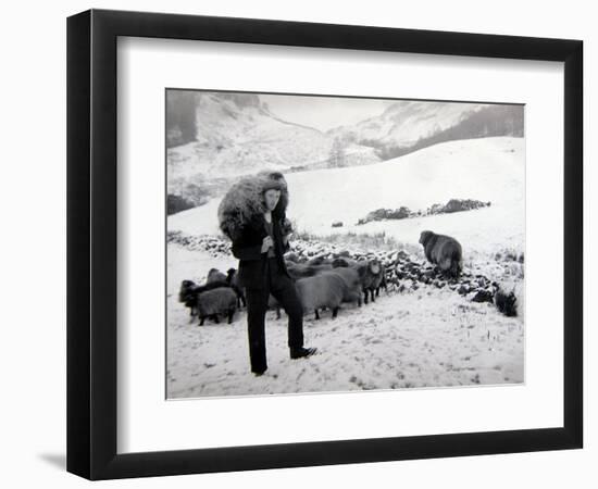 Man with Sheep on Snowy Hills, 1943-null-Framed Photographic Print