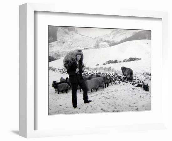 Man with Sheep on Snowy Hills, 1943-null-Framed Photographic Print