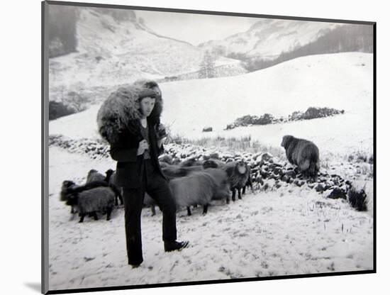 Man with Sheep on Snowy Hills, 1943-null-Mounted Photographic Print