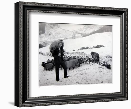 Man with Sheep on Snowy Hills, 1943-null-Framed Photographic Print