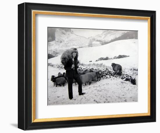 Man with Sheep on Snowy Hills, 1943-null-Framed Photographic Print