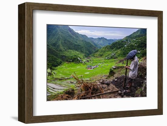 Man Working in the Batad Rice Terraces, Part of the UNESCO World Heritage Site of Banaue, Luzon-Michael Runkel-Framed Photographic Print