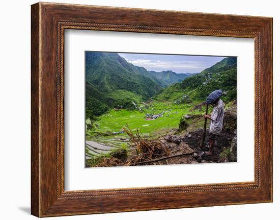 Man Working in the Batad Rice Terraces, Part of the UNESCO World Heritage Site of Banaue, Luzon-Michael Runkel-Framed Photographic Print