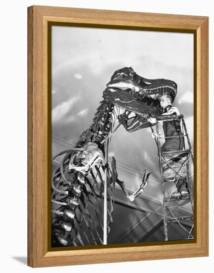 Man Working on Skeleton of a Tyrannosaurus at the American Museum of Natural History-Hansel Mieth-Framed Premier Image Canvas