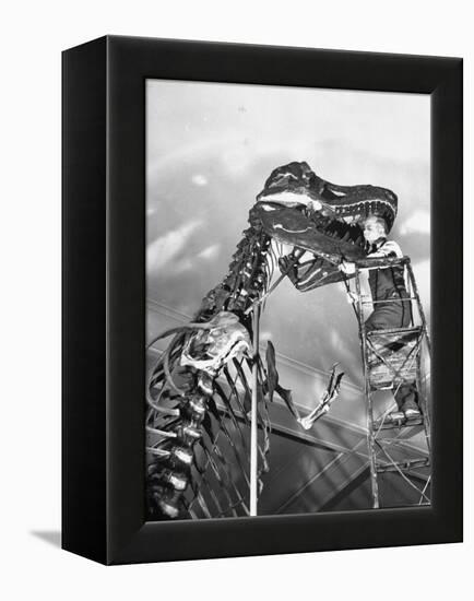 Man Working on Skeleton of a Tyrannosaurus at the American Museum of Natural History-Hansel Mieth-Framed Premier Image Canvas