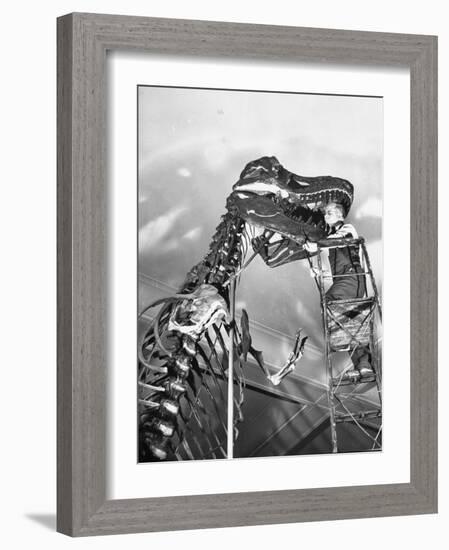 Man Working on Skeleton of a Tyrannosaurus at the American Museum of Natural History-Hansel Mieth-Framed Photographic Print