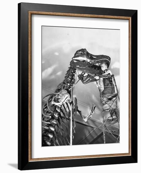 Man Working on Skeleton of a Tyrannosaurus at the American Museum of Natural History-Hansel Mieth-Framed Photographic Print