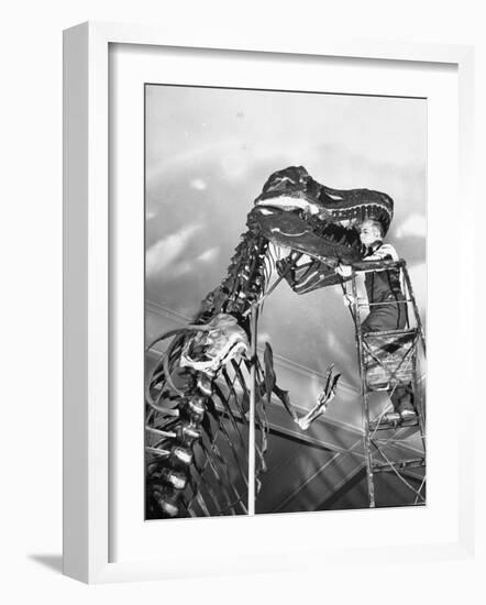Man Working on Skeleton of a Tyrannosaurus at the American Museum of Natural History-Hansel Mieth-Framed Photographic Print