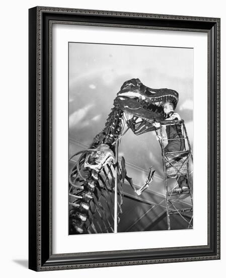 Man Working on Skeleton of a Tyrannosaurus at the American Museum of Natural History-Hansel Mieth-Framed Photographic Print