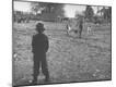 Photographic Print