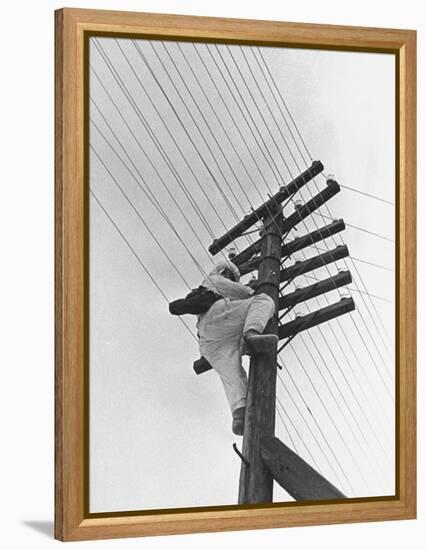 Man Working to Restore the Communication Lines after a Bombing Raid-Carl Mydans-Framed Premier Image Canvas