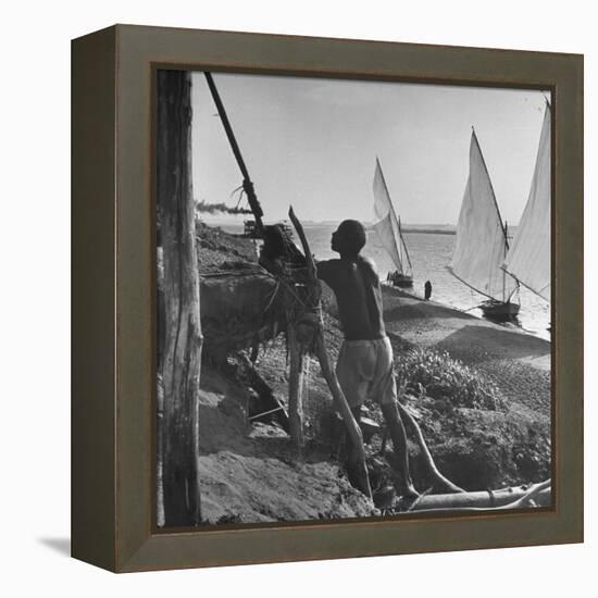 Man Working with Irrigation System as Sailboats Sit at Edge of Nile River at Wadi Halfa-null-Framed Premier Image Canvas