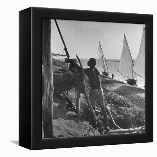 Man Working with Irrigation System as Sailboats Sit at Edge of Nile River at Wadi Halfa-null-Framed Premier Image Canvas