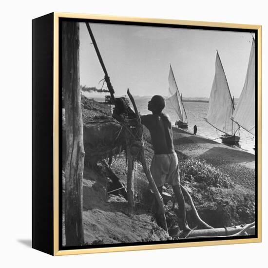 Man Working with Irrigation System as Sailboats Sit at Edge of Nile River at Wadi Halfa-null-Framed Premier Image Canvas